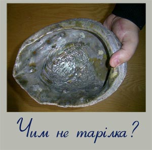 Фотографія морського вушка