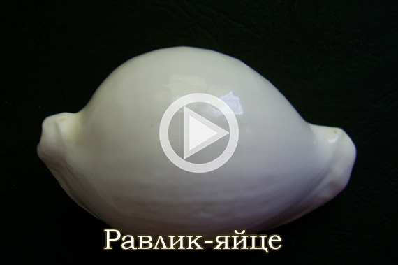 Равлик-яйце