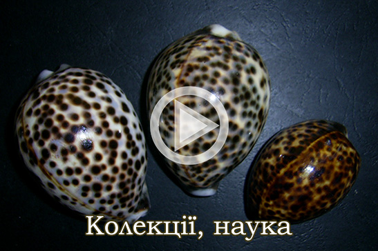 Колекції, наука