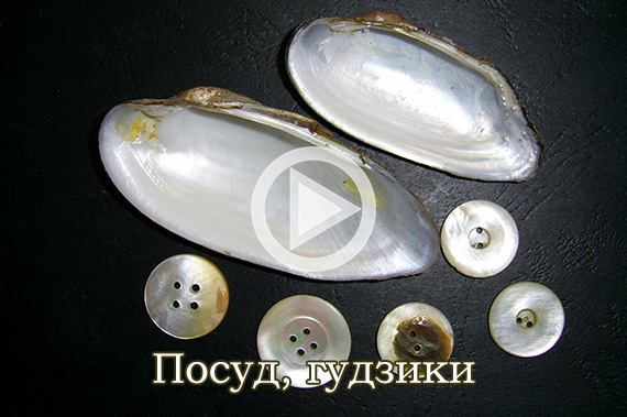 Посуд, гудзики